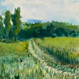 «Родной край»