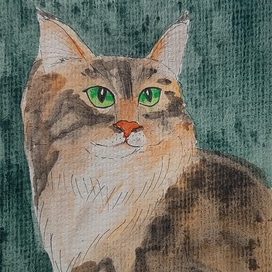 Акварельный кот