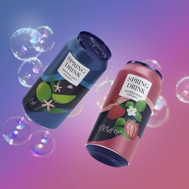 Дизайн упаковки SPRING DRINK