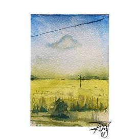 «желтое поле»