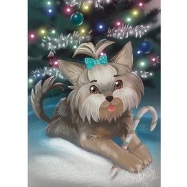 Йоркширский терьер