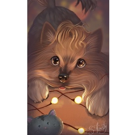 Собачка с игрушкой