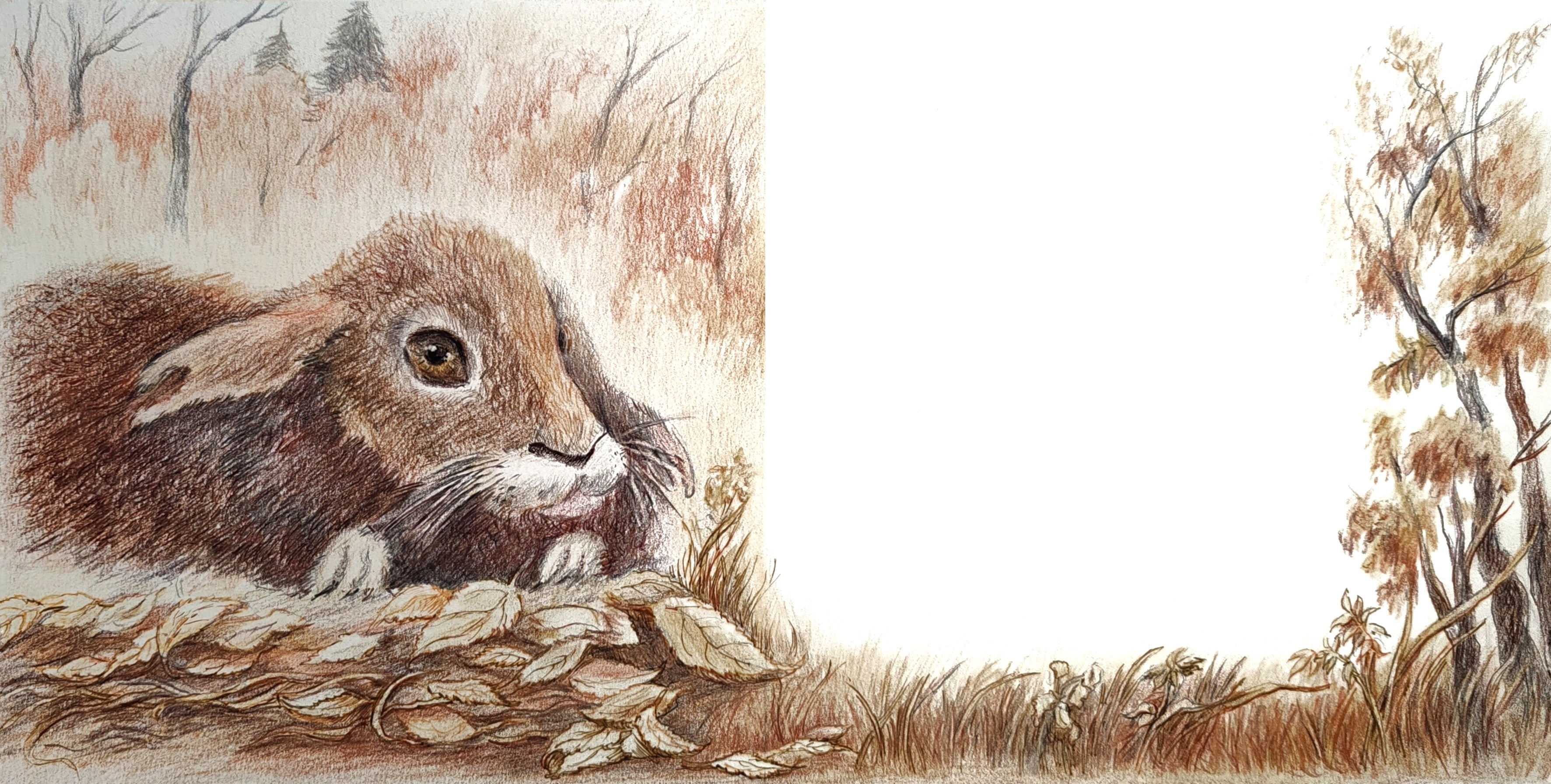 Заячьи лапы. Разворот