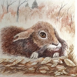 Заячьи лапы. Разворот