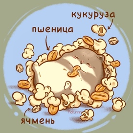 Хомяк с воздушными зернами