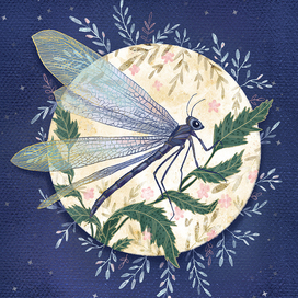 Стрекоза. Магическая ботаника.