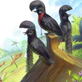 Умджи и необычные яйца