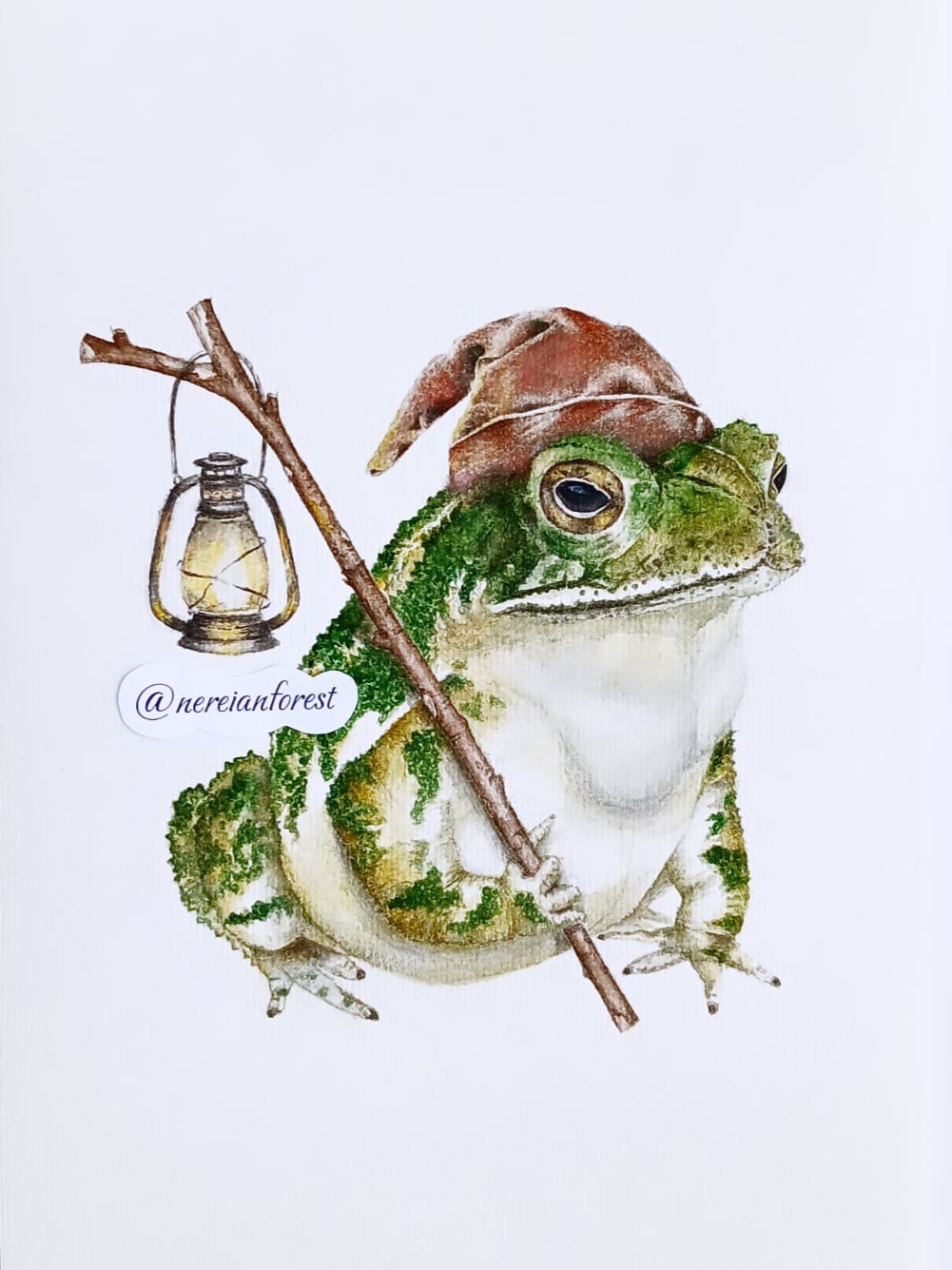 Нерейский лес Фэнтези Сказка Лягушка Открытка art.ninelle