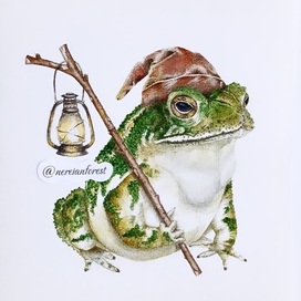 Нерейский лес Фэнтези Сказка Лягушка Открытка art.ninelle