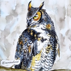Нерейский лес Фэнтези Сказка Сова Открытка art.ninelle