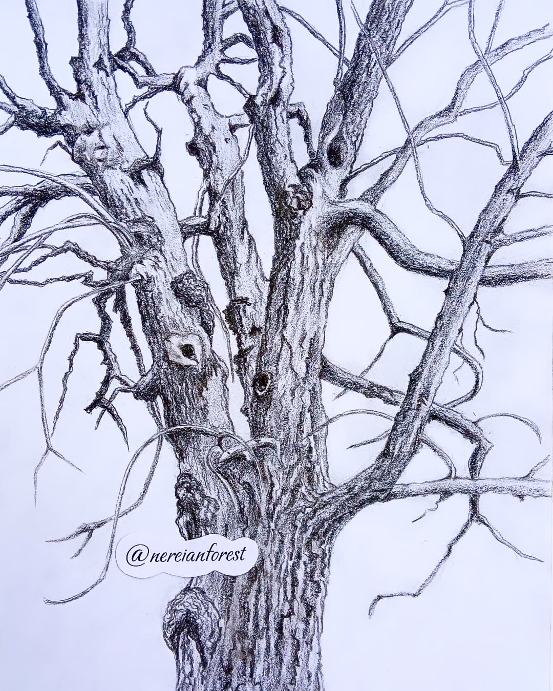 Нерейский лес Фэнтези Сказка Дерево Открытка art.ninelle