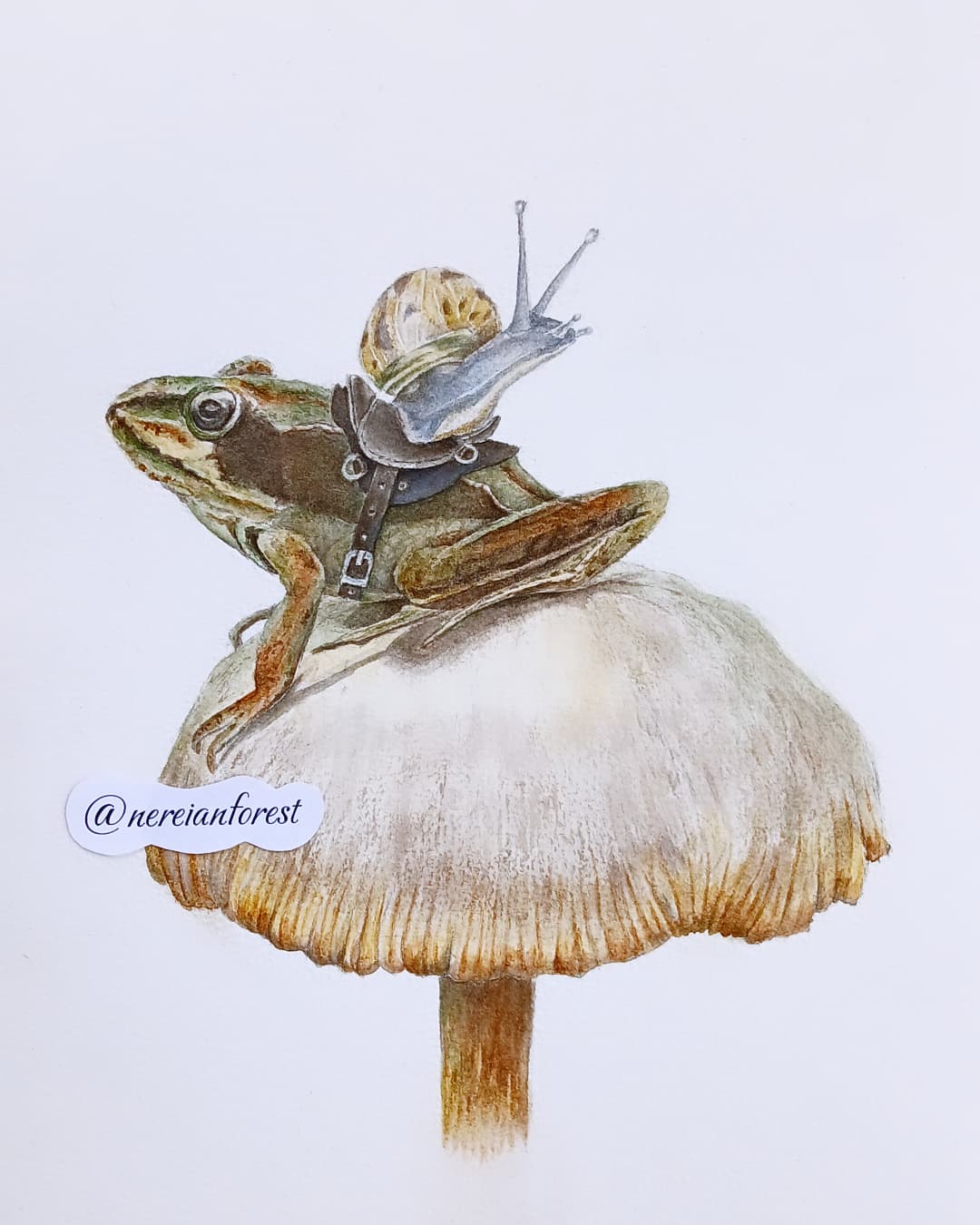 Нерейский лес Фэнтези Сказка Лягушка Открытка art.ninelle