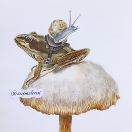 Нерейский лес Фэнтези Сказка Лягушка Открытка art.ninelle