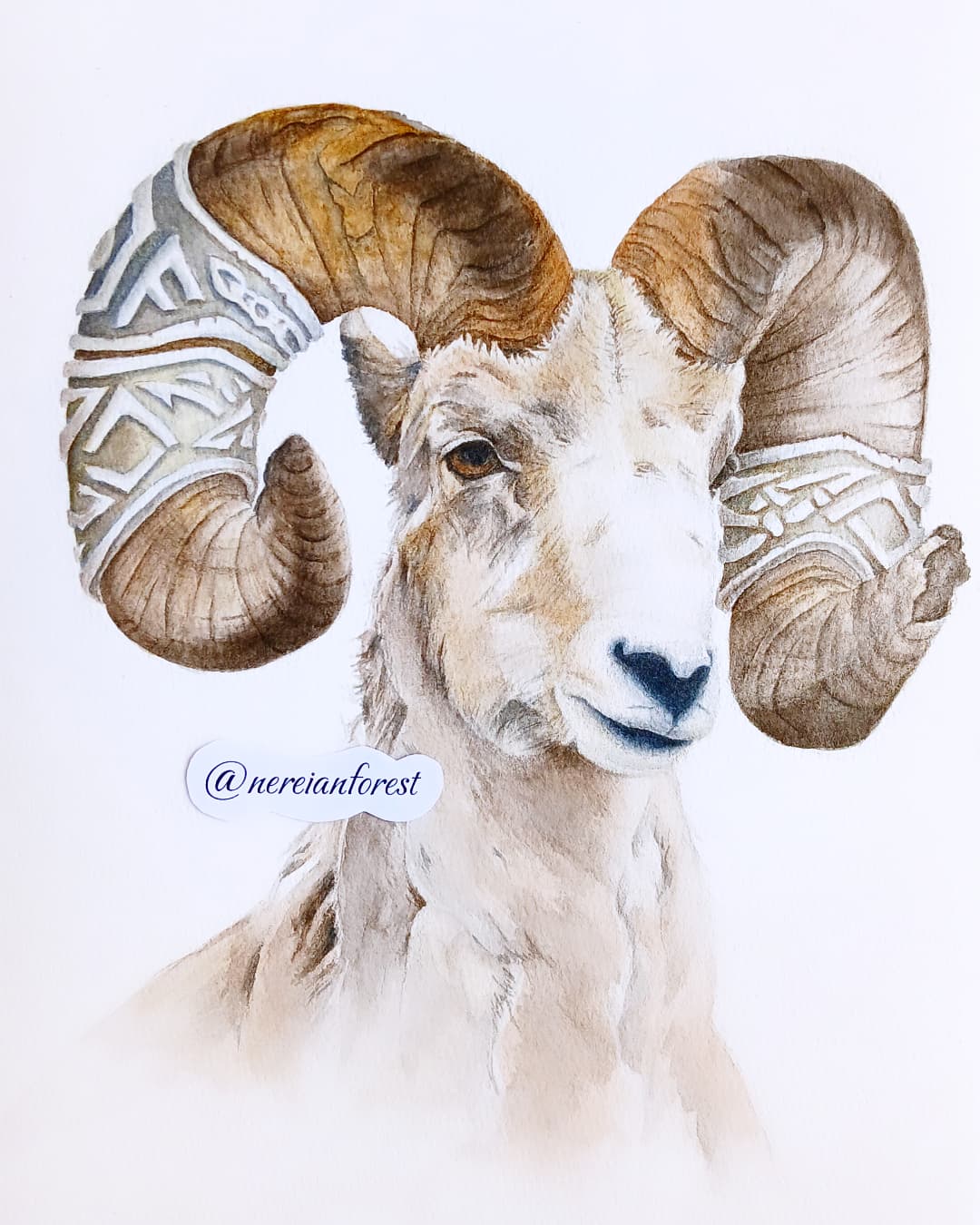 Нерейский лес Фэнтези Сказка Баран Тур Открытка art.ninelle