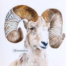 Нерейский лес Фэнтези Сказка Баран Тур Открытка art.ninelle