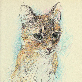 портрет котика