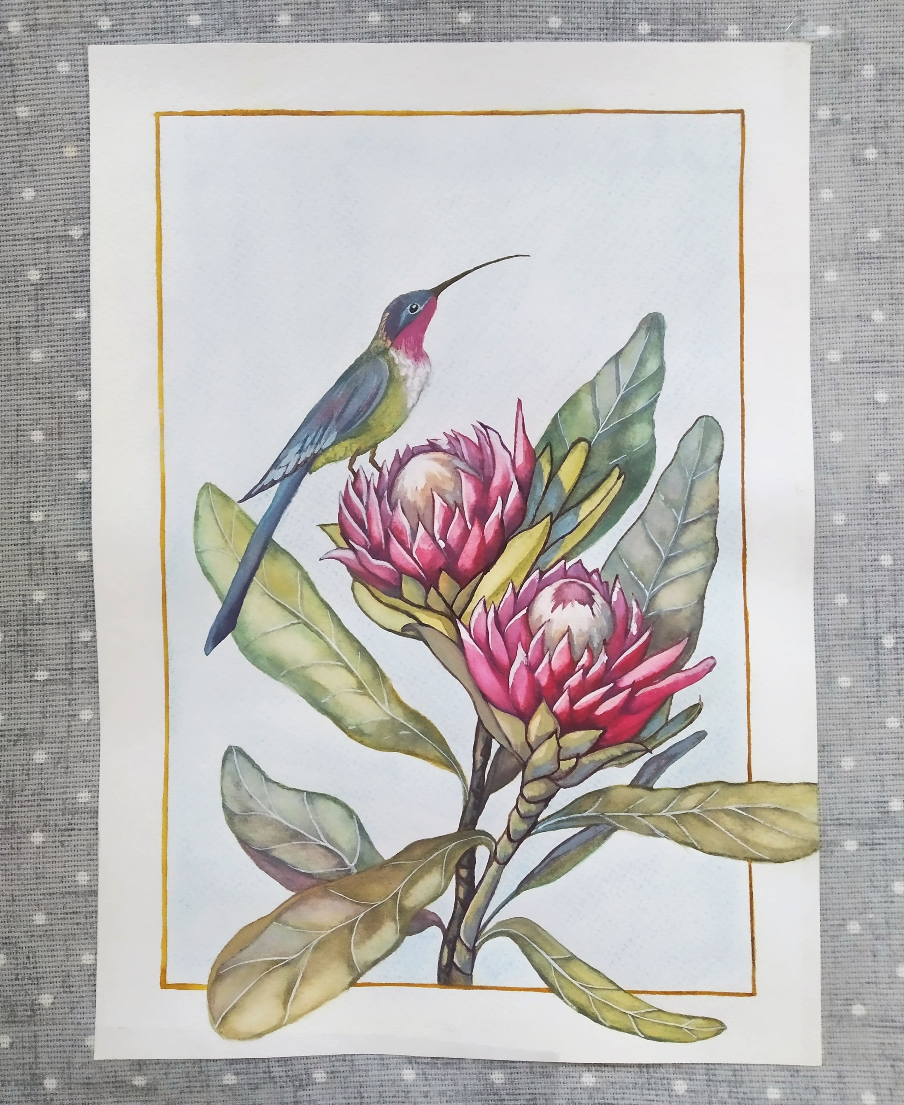 Колибри и протея