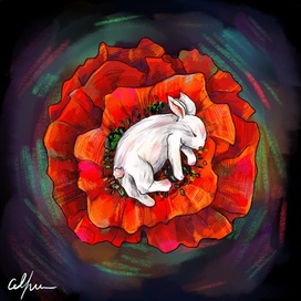 сон в цветке