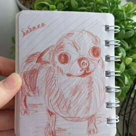 Рисунок домашнего питомца