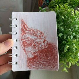 Рисунок домашнего питомца