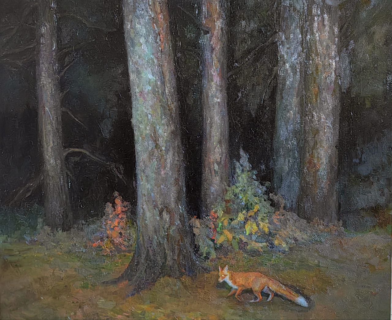 Ночь. В глуши