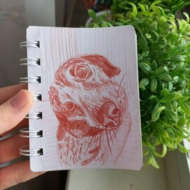 Рисунок домашнего питомца