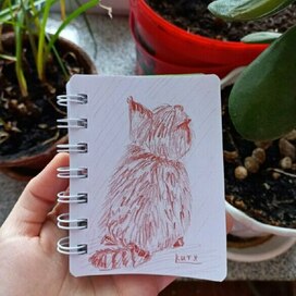 Домашний питомец