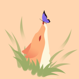 Деликатность