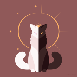 Кошки-светила