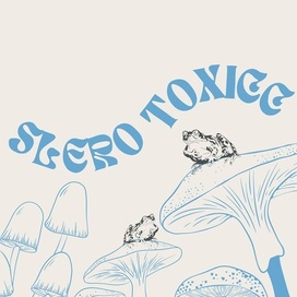 Слаботоксичная среда