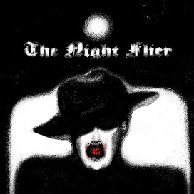 Ночной полёт