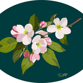 Яблоневый цвет