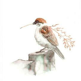 воробейчик занятой