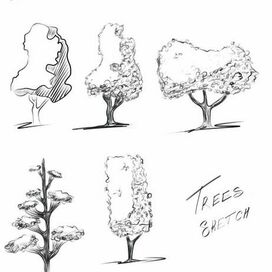 Скетч деревьев