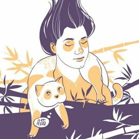 Панда и кот