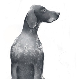 Без названия 