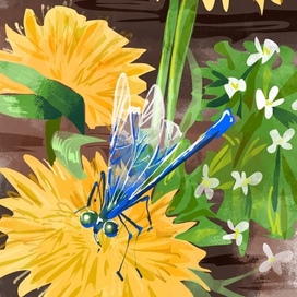 Синяя стрекоза