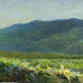 Виноградники