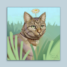 Портрет кота