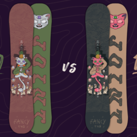 Дизайн женского сноуборда Joint Fancy