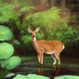 Косуля  в лесу