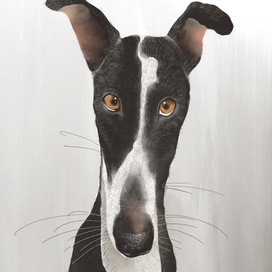 Без названия 