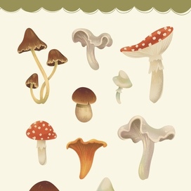 Осенние стикеры Грибы