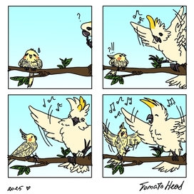 Попугайчики