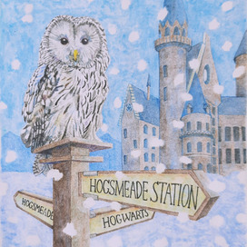 Неясыть в Хогвартсе