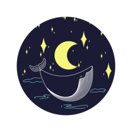 Кит в ночном небе