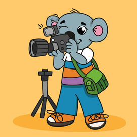Векторная иллюстрация Профессия Фотограф Коала