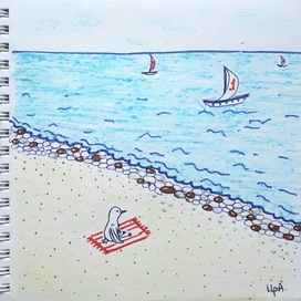 Чайка смотрит на регату 