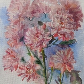 Хризантема