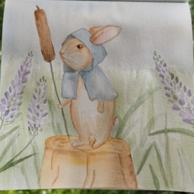 Кролик путник 